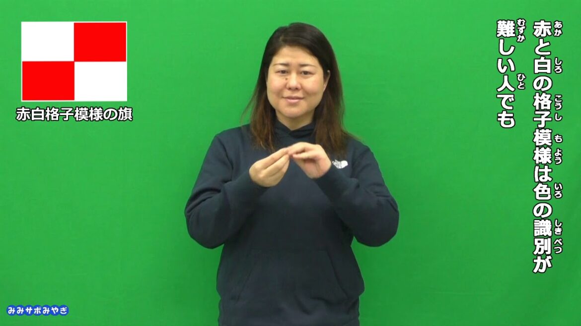 みみサポみやぎ　R1-49　海水浴中に津波警報が！ 聴覚障害者への伝え方は？